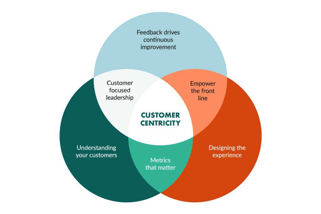 Customer centricity circle chart